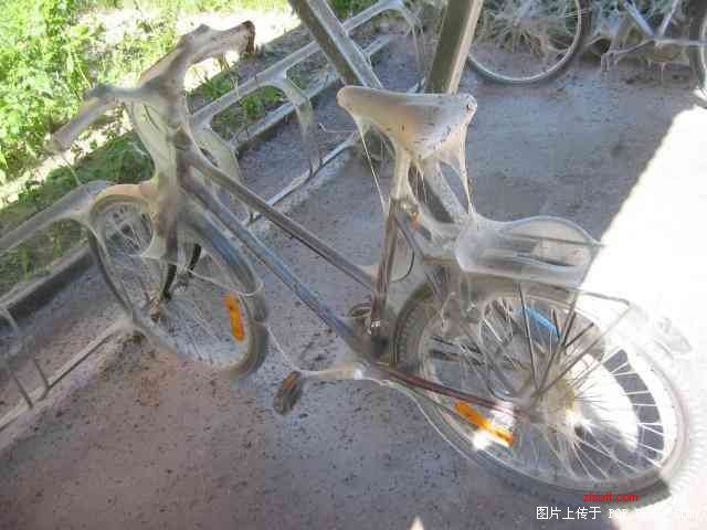 搞笑图片: 自行车防盗法[中联论坛]